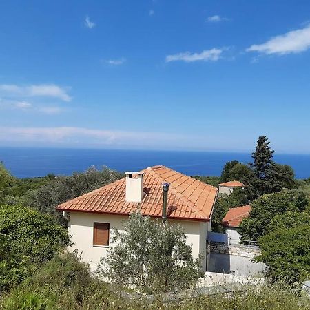Paltsi Pilion Kouros Villa! מראה חיצוני תמונה