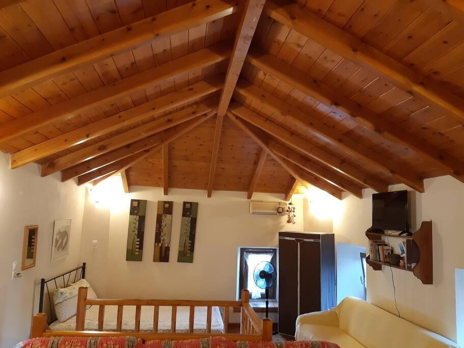 Paltsi Pilion Kouros Villa! מראה חיצוני תמונה