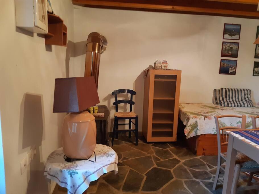 Paltsi Pilion Kouros Villa! מראה חיצוני תמונה