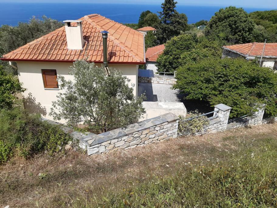 Paltsi Pilion Kouros Villa! מראה חיצוני תמונה