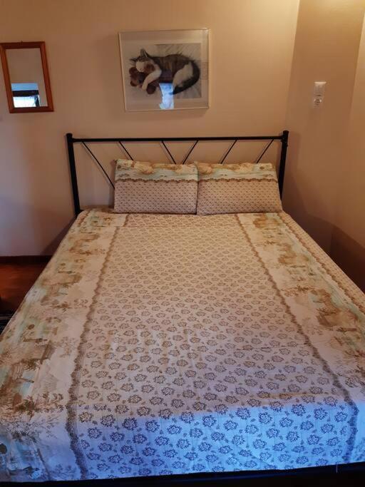 Paltsi Pilion Kouros Villa! מראה חיצוני תמונה
