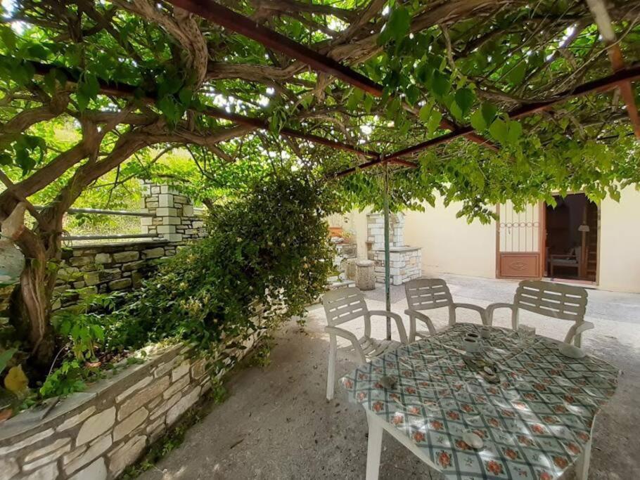 Paltsi Pilion Kouros Villa! מראה חיצוני תמונה