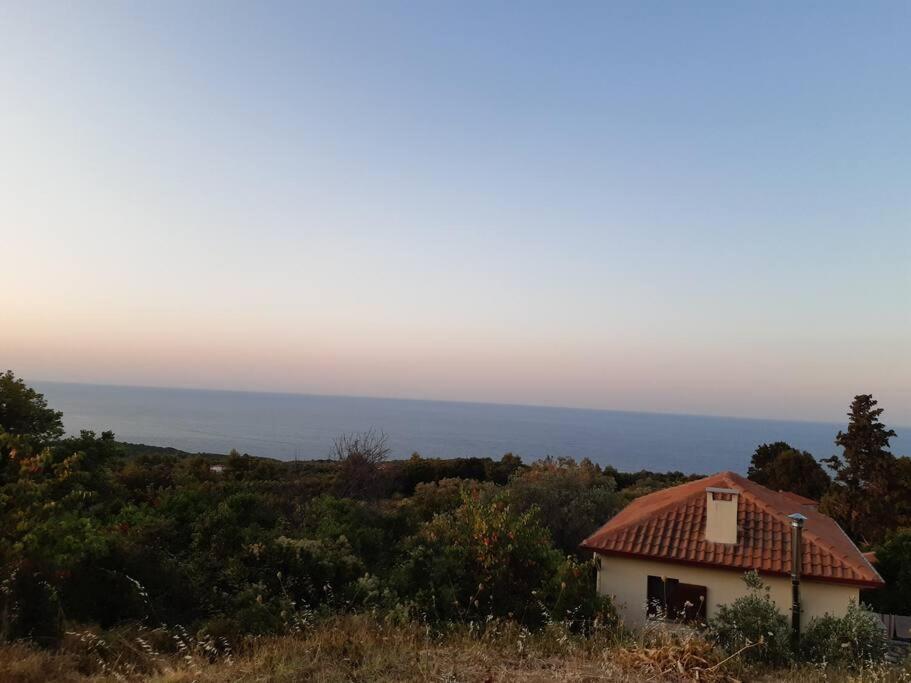 Paltsi Pilion Kouros Villa! מראה חיצוני תמונה