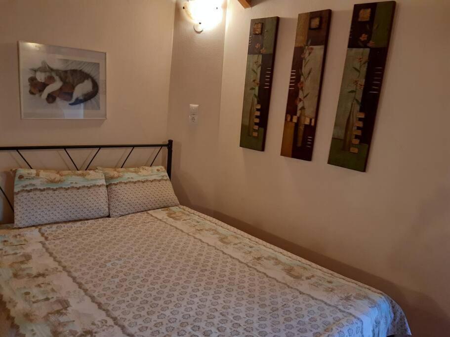 Paltsi Pilion Kouros Villa! מראה חיצוני תמונה
