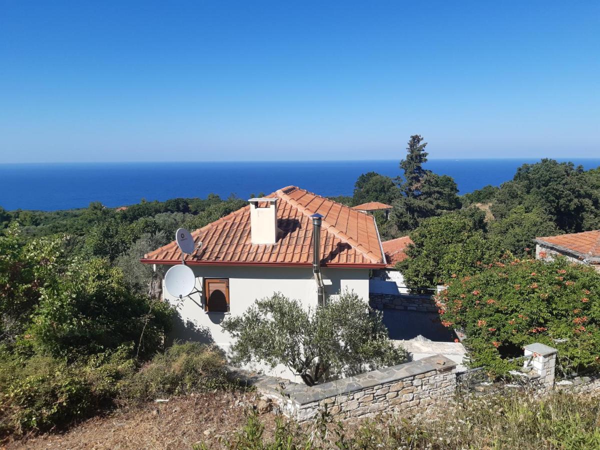 Paltsi Pilion Kouros Villa! מראה חיצוני תמונה