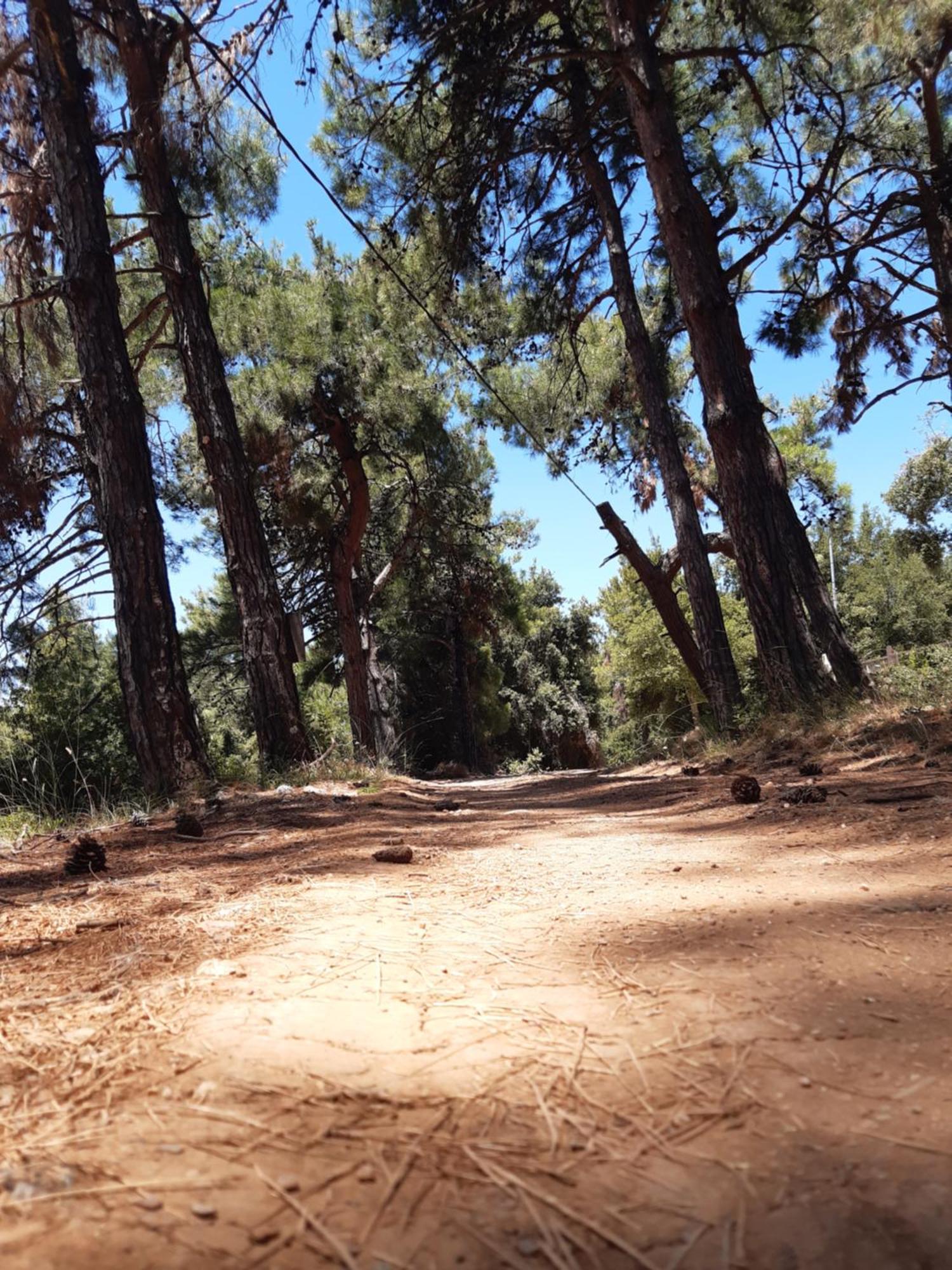 Paltsi Pilion Kouros Villa! מראה חיצוני תמונה