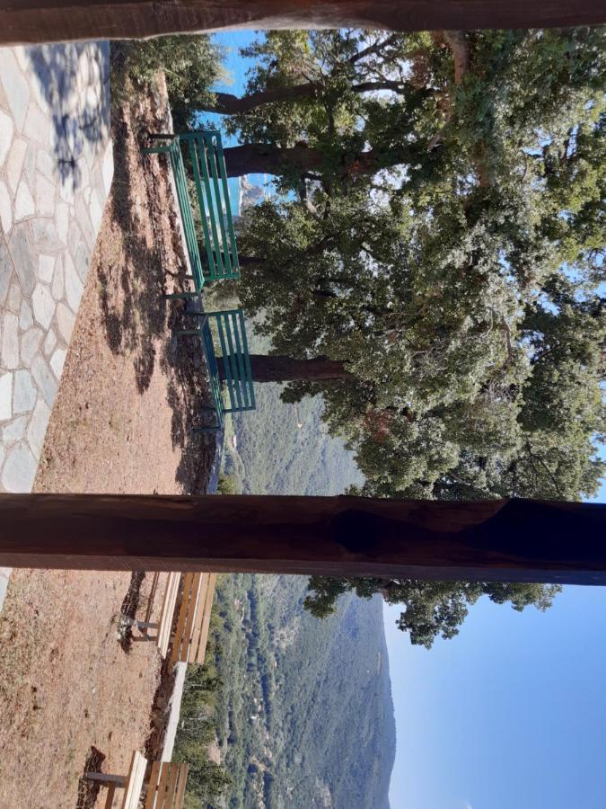 Paltsi Pilion Kouros Villa! מראה חיצוני תמונה