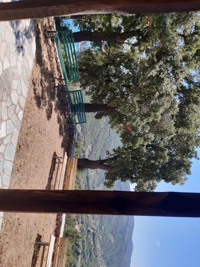 Paltsi Pilion Kouros Villa! מראה חיצוני תמונה
