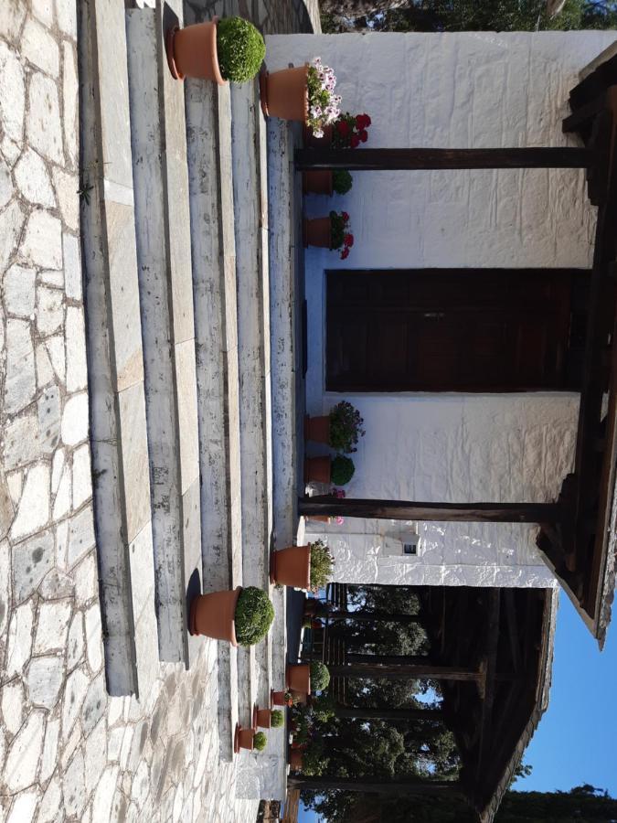 Paltsi Pilion Kouros Villa! מראה חיצוני תמונה