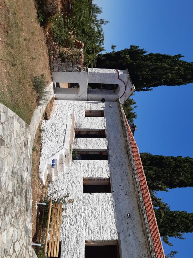 Paltsi Pilion Kouros Villa! מראה חיצוני תמונה